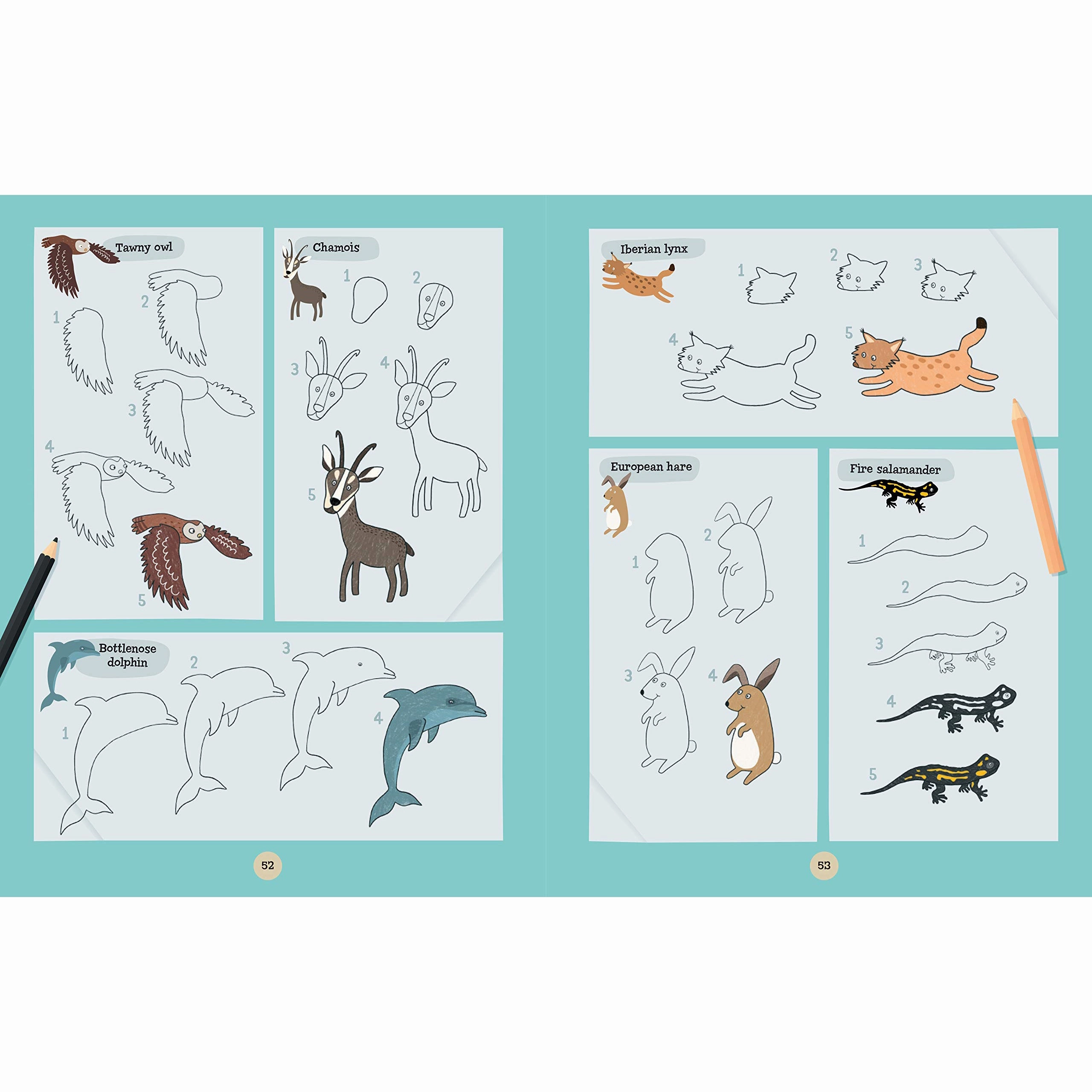 A World of Animals