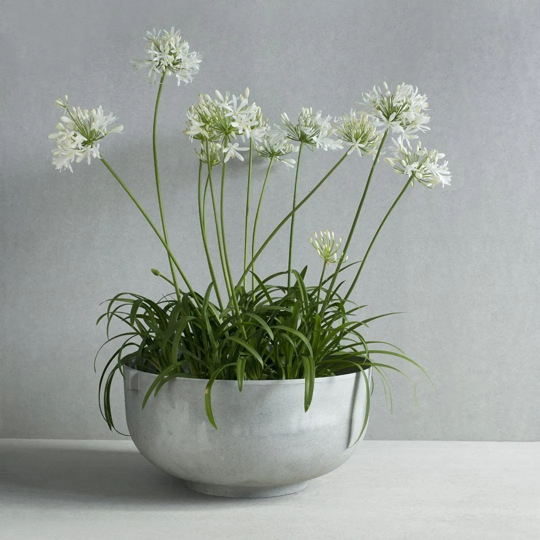 Castle Planter