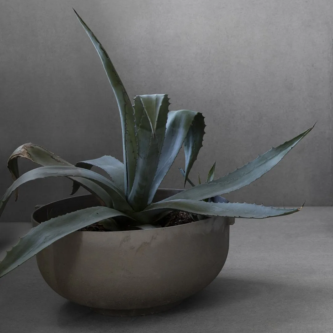 Castle Planter