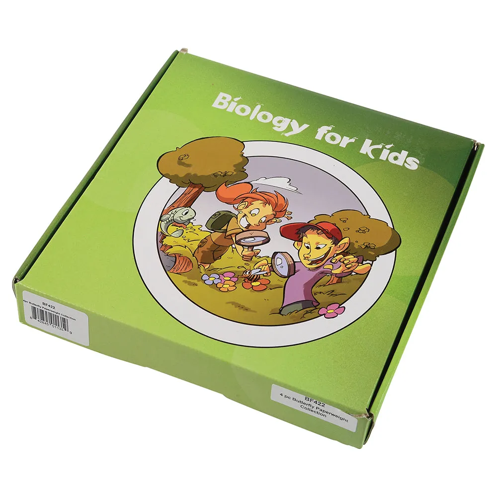 Educational Encased Butterfly Set | 4-Piece Collection with Identification Cards