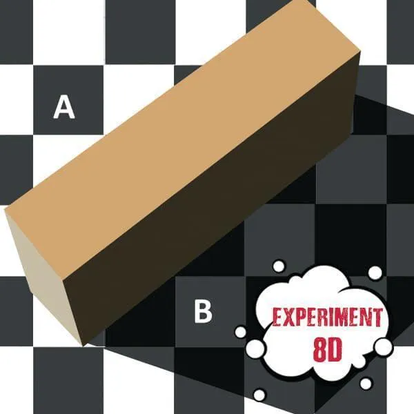 Einstein's Lab - Optical Illusion
