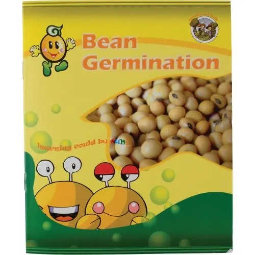 Encased Bean Germination Stages Set | Poly-Resin Models for Teaching Plant Growth