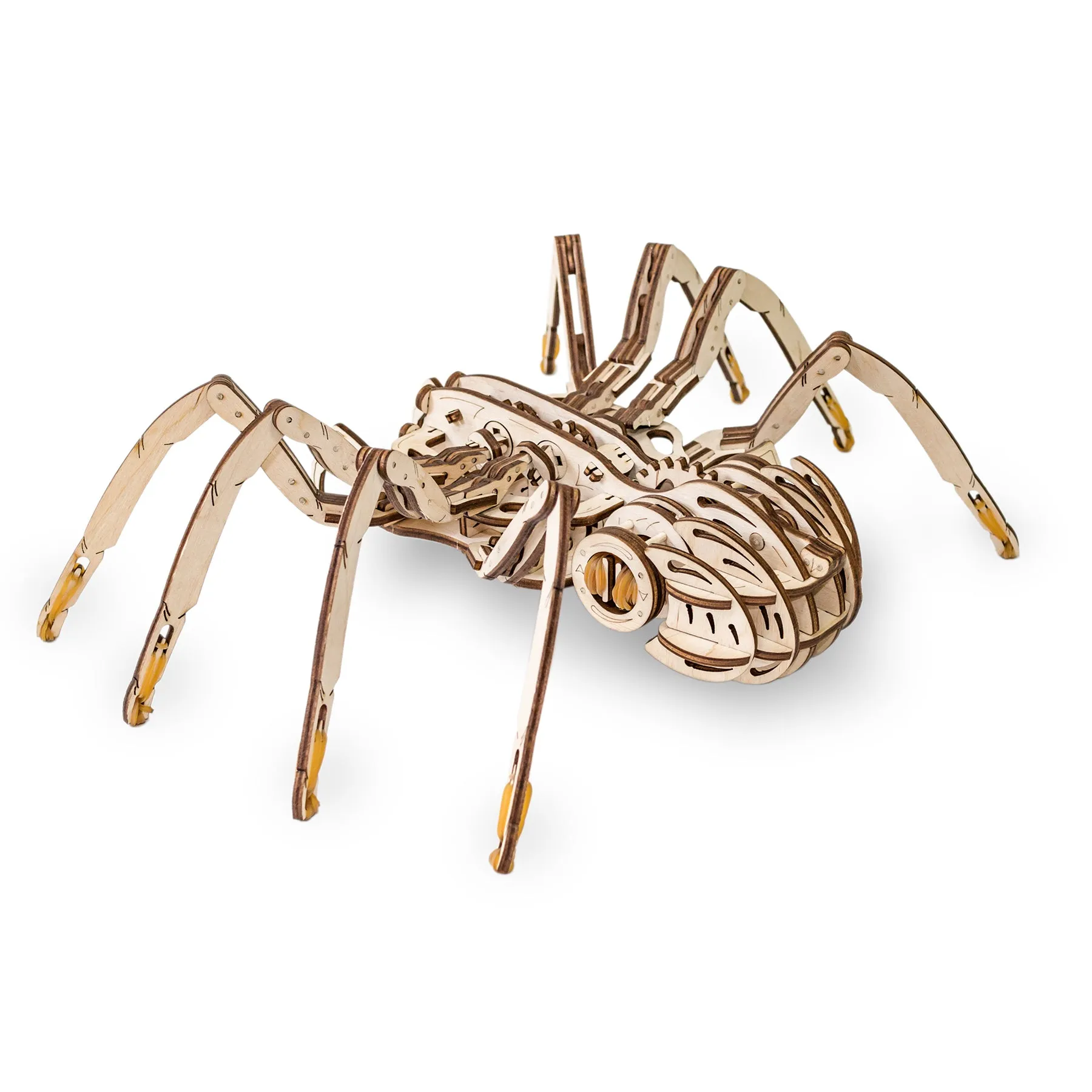 EWA Eco-Wood-Art Spider 3D Wooden STEM Construction Kit