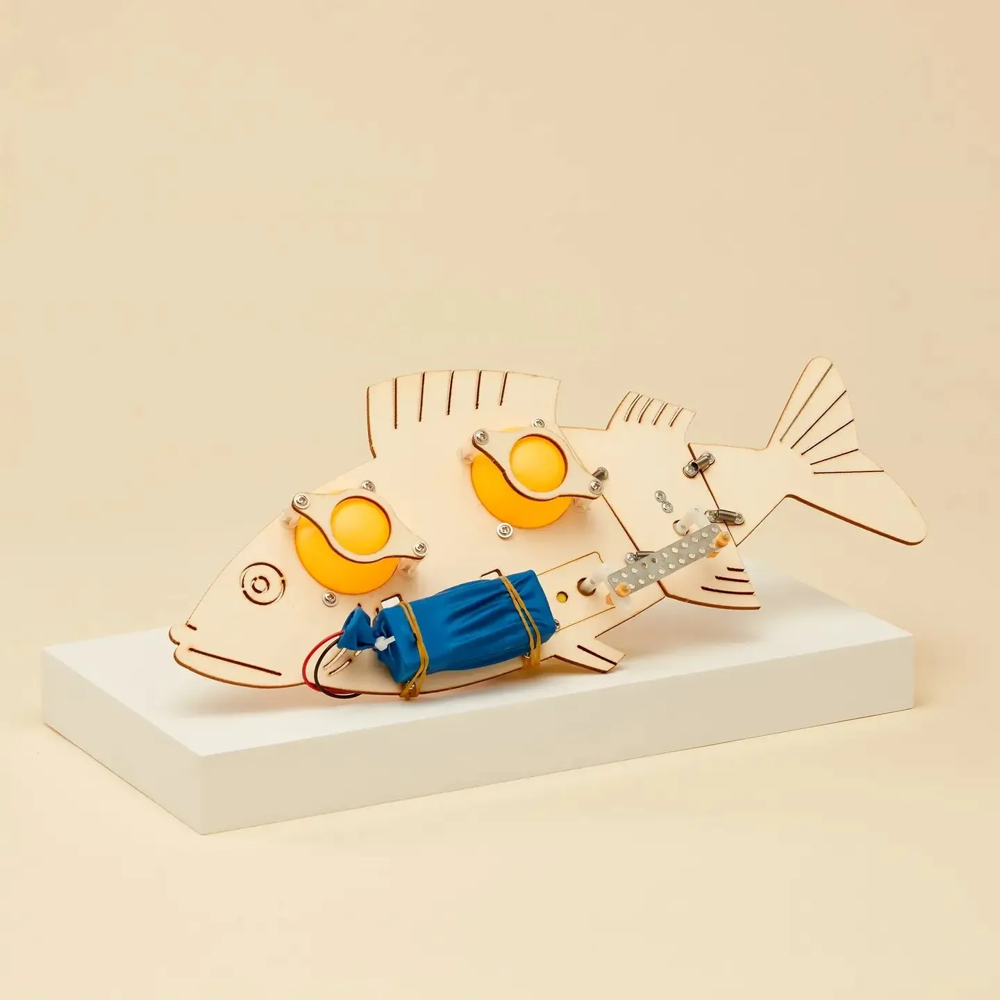 Fish Robot Kit