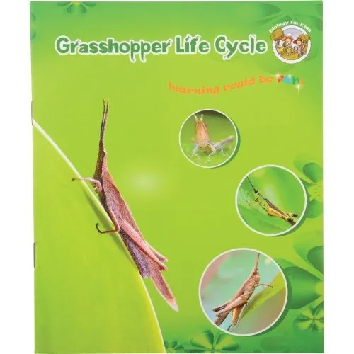 Grasshopper Life Cycle Discovery Set | 5-Piece Educational Model with Guide