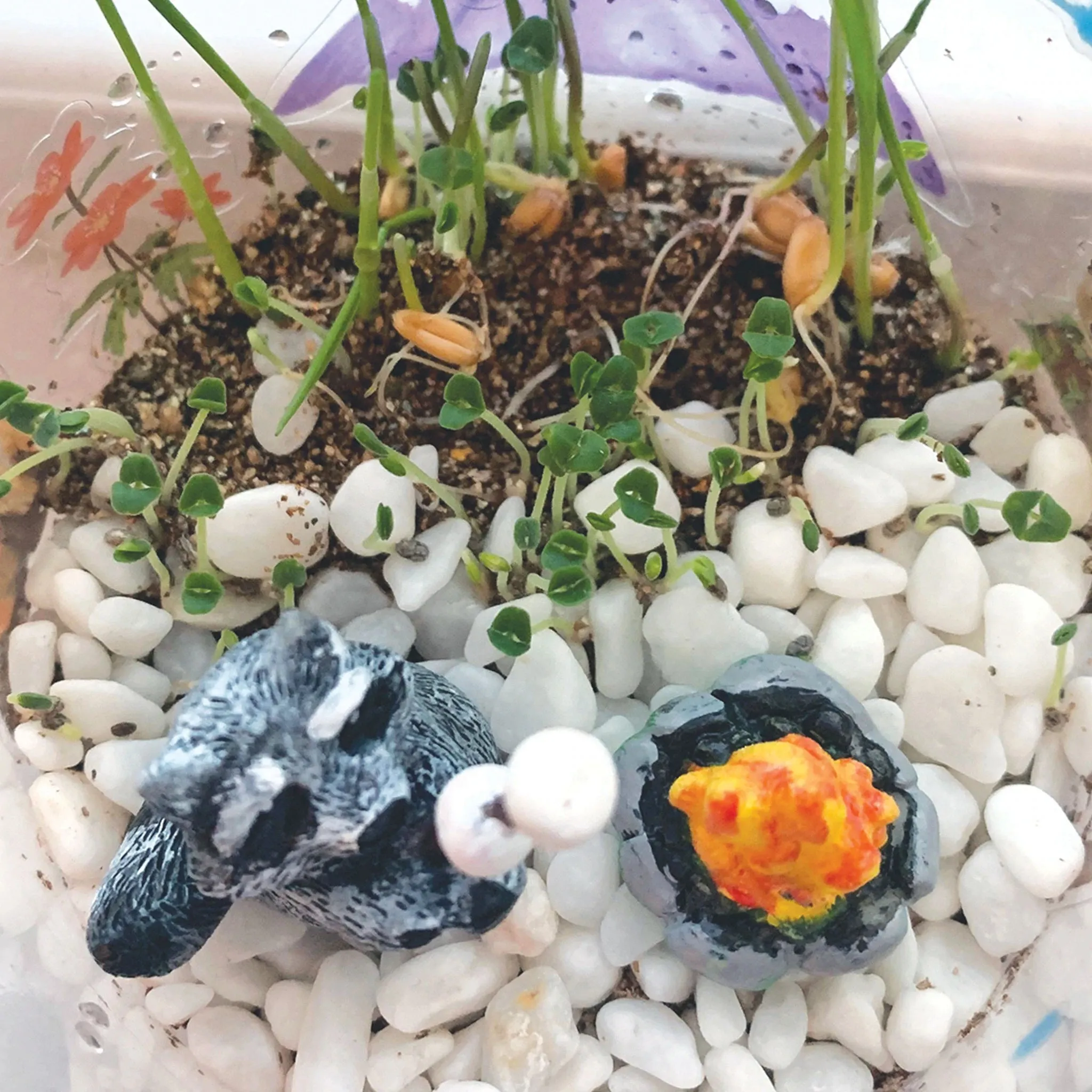 Grow and Glow Terrarium
