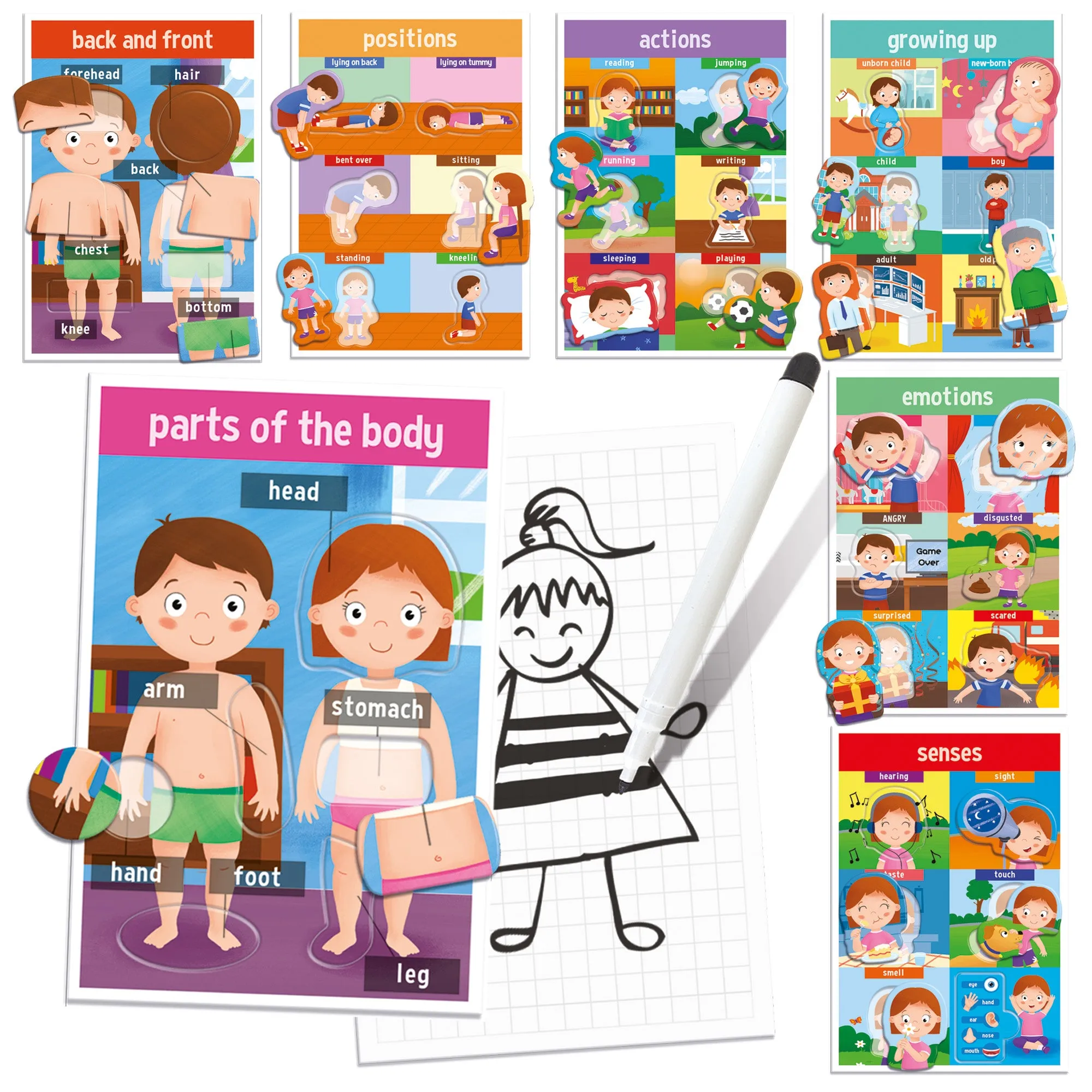 Headu My First Human Body Game - Discover Anatomy Fun