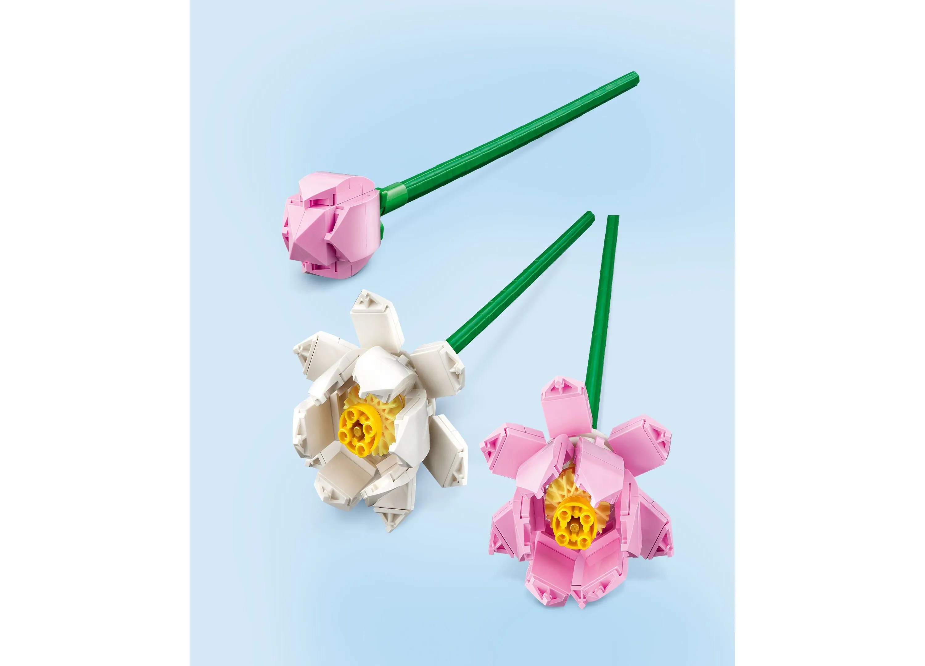 LEGO Lotus 40647 Botanical House Plant Toy Building Set - 220 Pieces