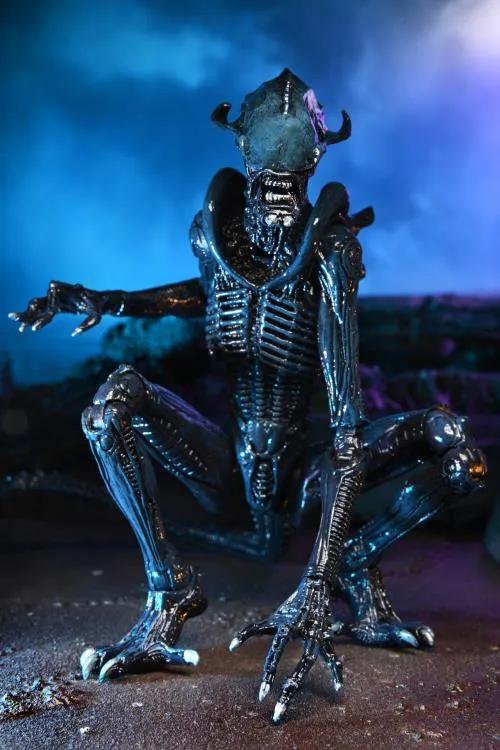 NECA Alien vs. Predator Arachnoid Alien (Movie Deco) Action Figure