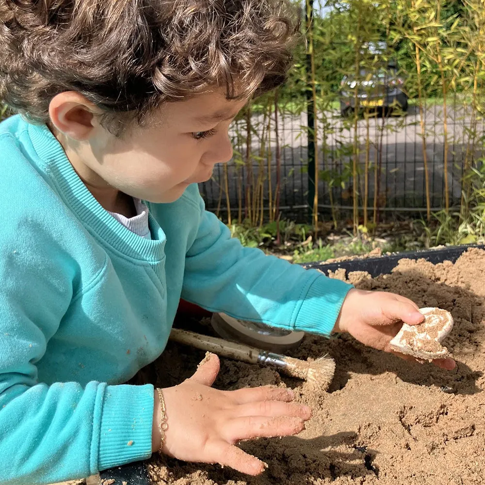 Prehistoric Fossil Dig & Build Set | 6 Dinosaur Skeletons Puzzle Kit