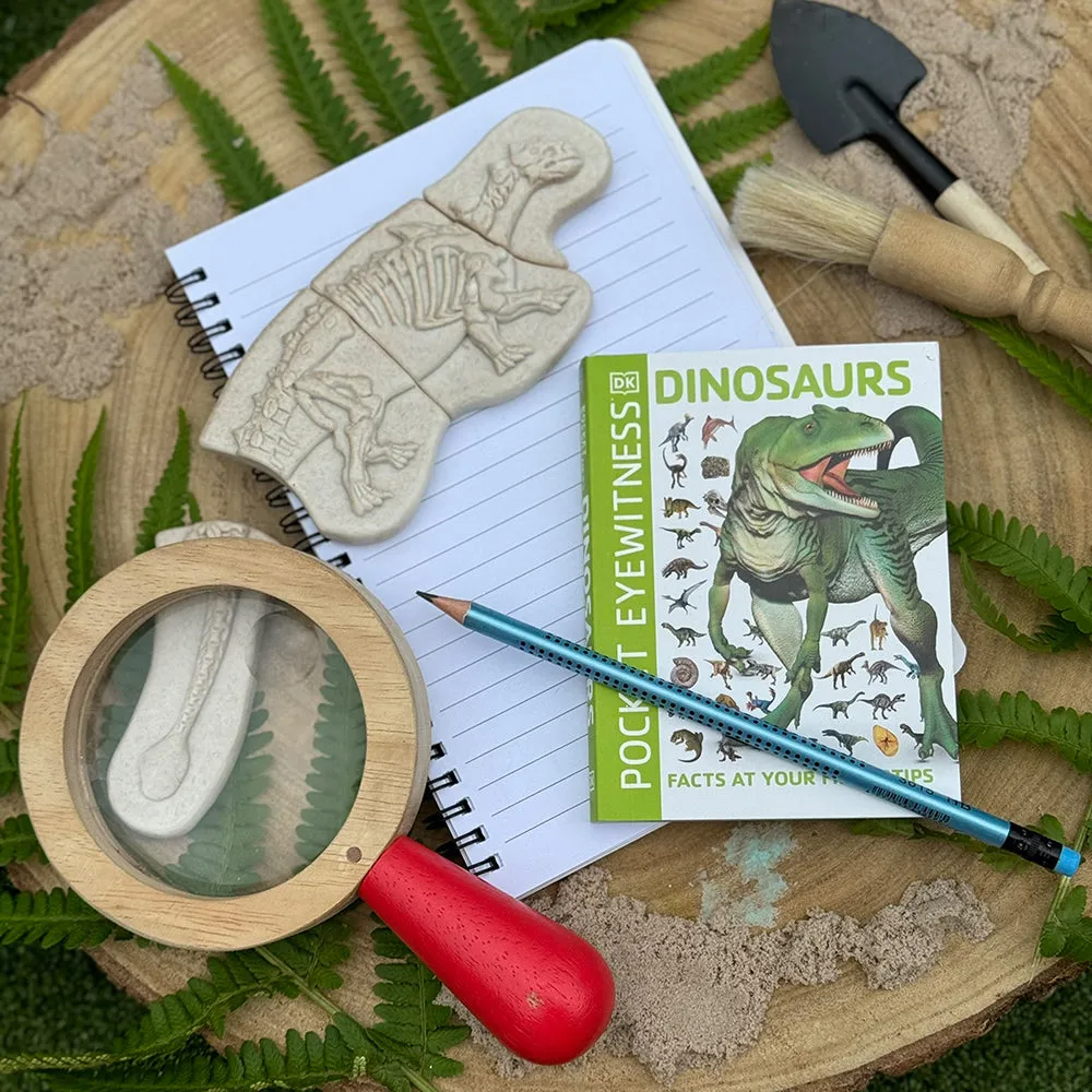 Prehistoric Fossil Dig & Build Set | 6 Dinosaur Skeletons Puzzle Kit