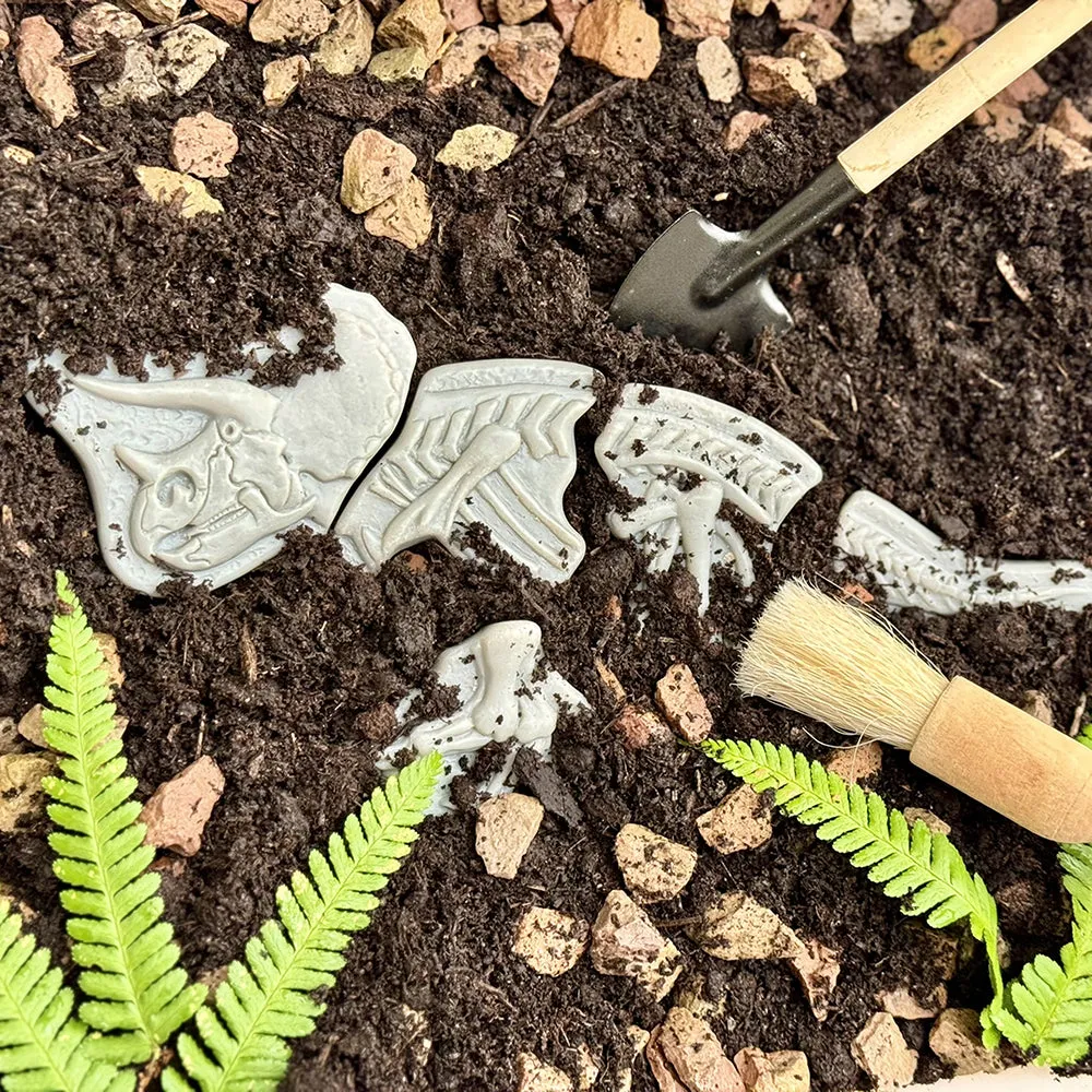 Prehistoric Fossil Dig & Build Set | 6 Dinosaur Skeletons Puzzle Kit