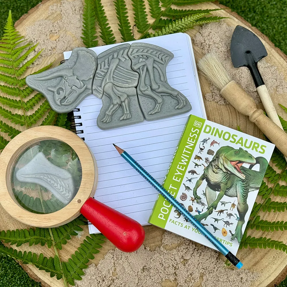 Prehistoric Fossil Dig & Build Set | 6 Dinosaur Skeletons Puzzle Kit