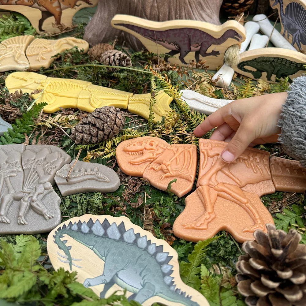 Prehistoric Fossil Dig & Build Set | 6 Dinosaur Skeletons Puzzle Kit