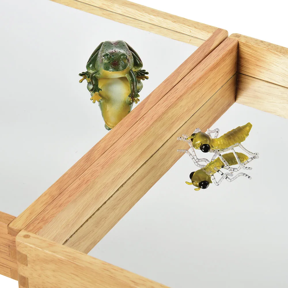 Reflective Observation Trays | Set of 3 Double-Sided Mirrored Wooden Trays for Exploring Light, Shadows & Structures