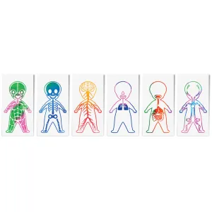 Roylco Look Inside Me Paint Sheets | Learn Anatomy Through Creative Play