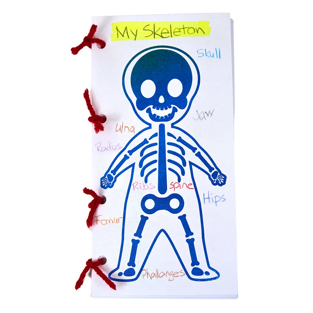 Roylco Look Inside Me Paint Sheets | Learn Anatomy Through Creative Play