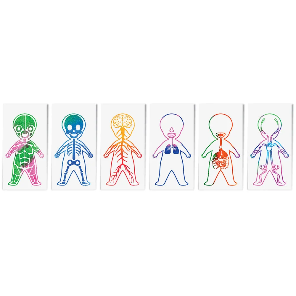 Roylco Look Inside Me Paint Sheets | Learn Anatomy Through Creative Play