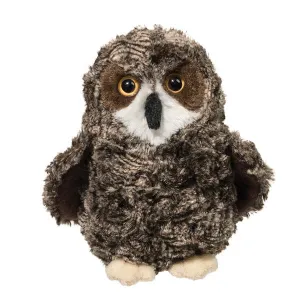 Shrill Saw-Whet Owl
