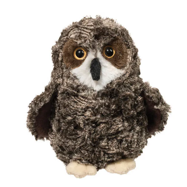 Shrill Saw-Whet Owl