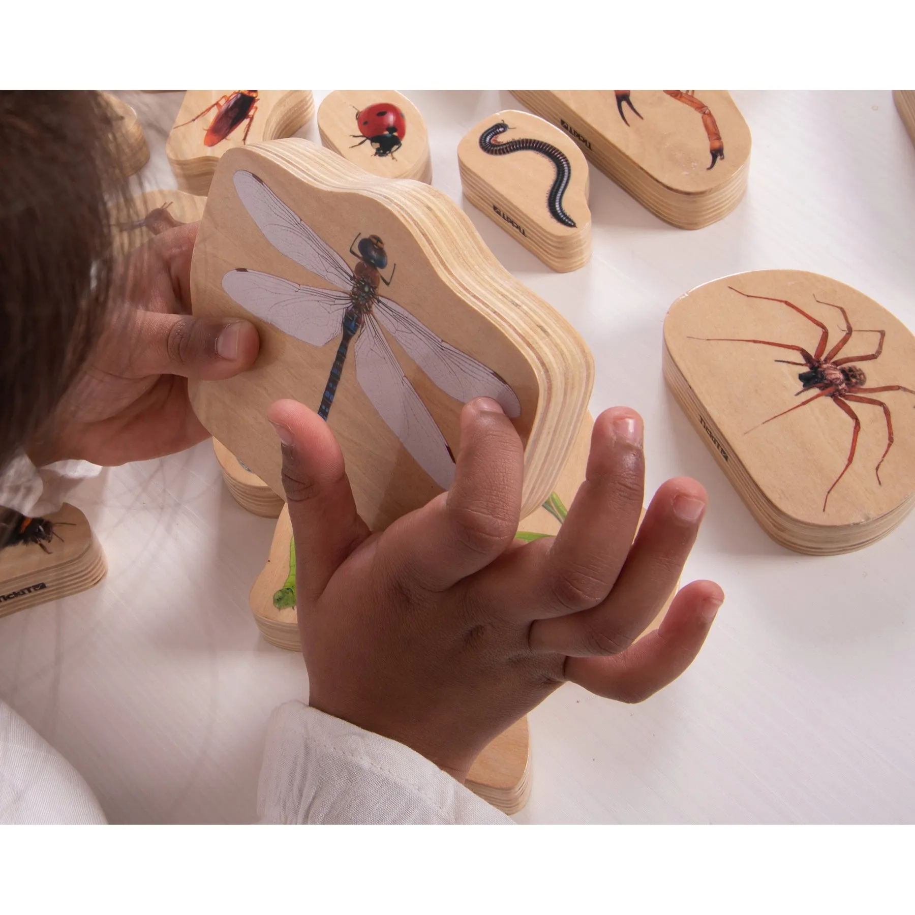 TickiT Wooden Minibeast Blocks – 15 Piece Learning Set