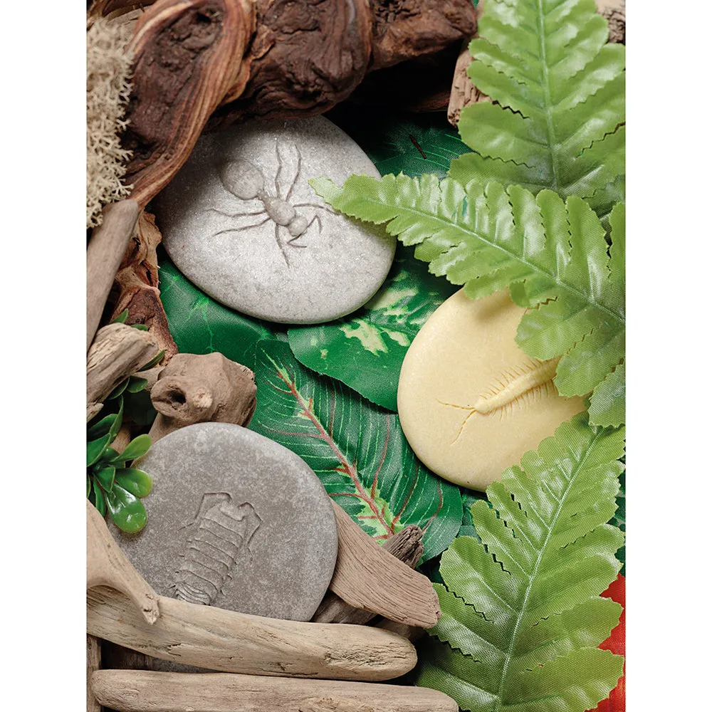Yellow Door® Let's Investigate Bugs Discovery Kit