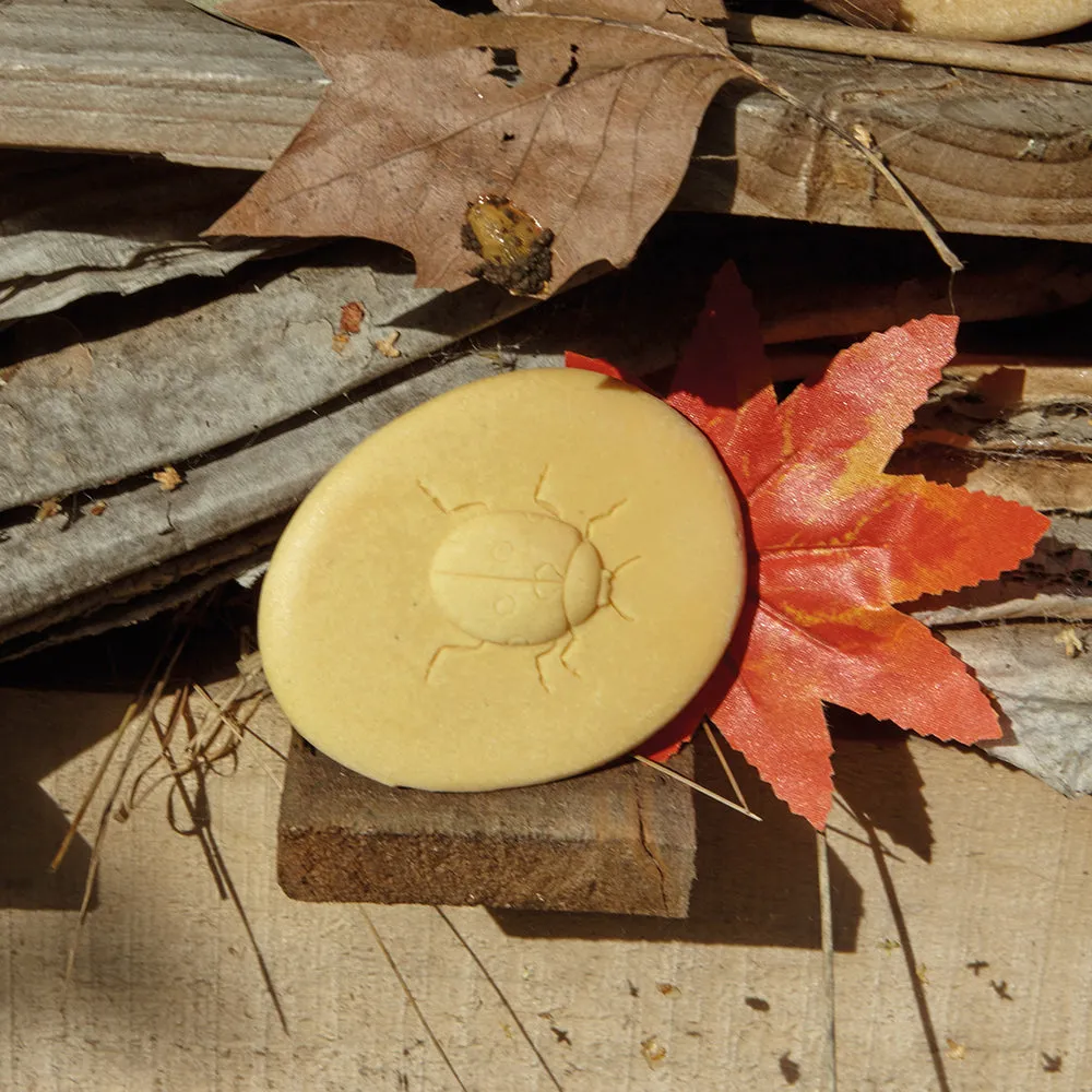Yellow Door® Let's Investigate Bugs Discovery Kit