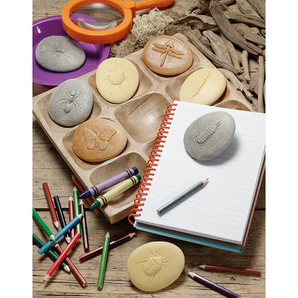 Yellow Door® Let's Investigate Bugs Discovery Kit
