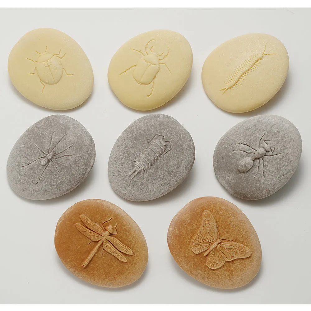Yellow Door® Let's Investigate Bugs Discovery Kit