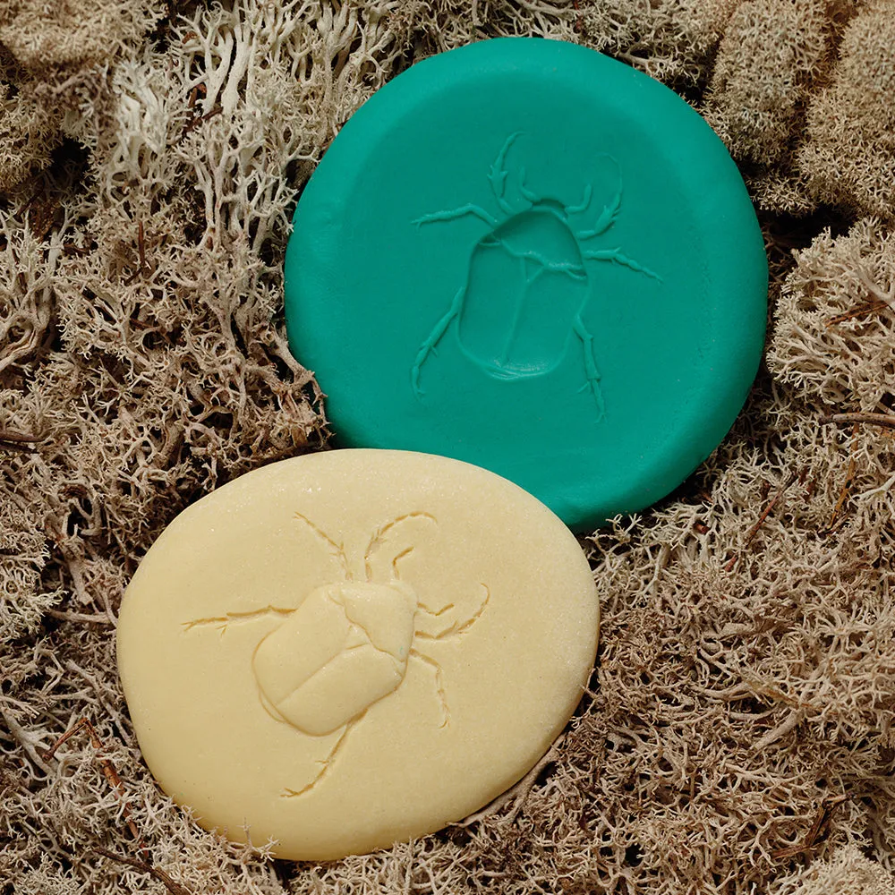 Yellow Door® Let's Investigate Bugs Discovery Kit