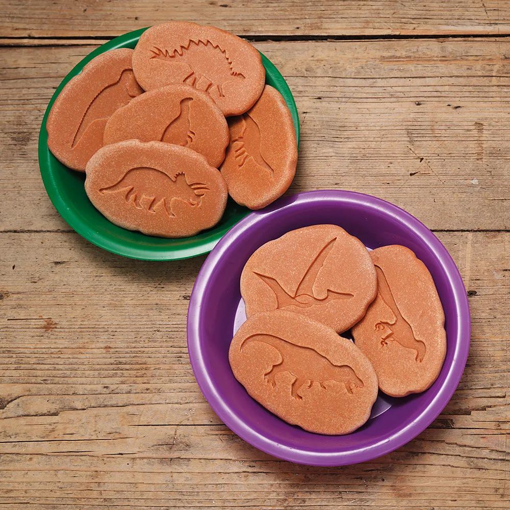 Yellow Door® Let's Investigate Dinosaur Footprints Double-Sided Animal Stones