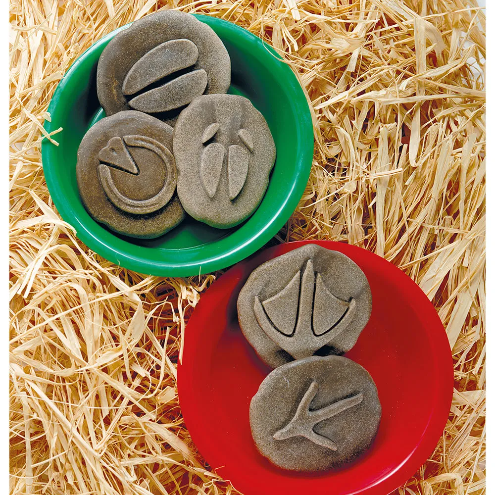 Yellow Door® Let's Investigate Farm Yard Footprints Double-Sided Animal Stones