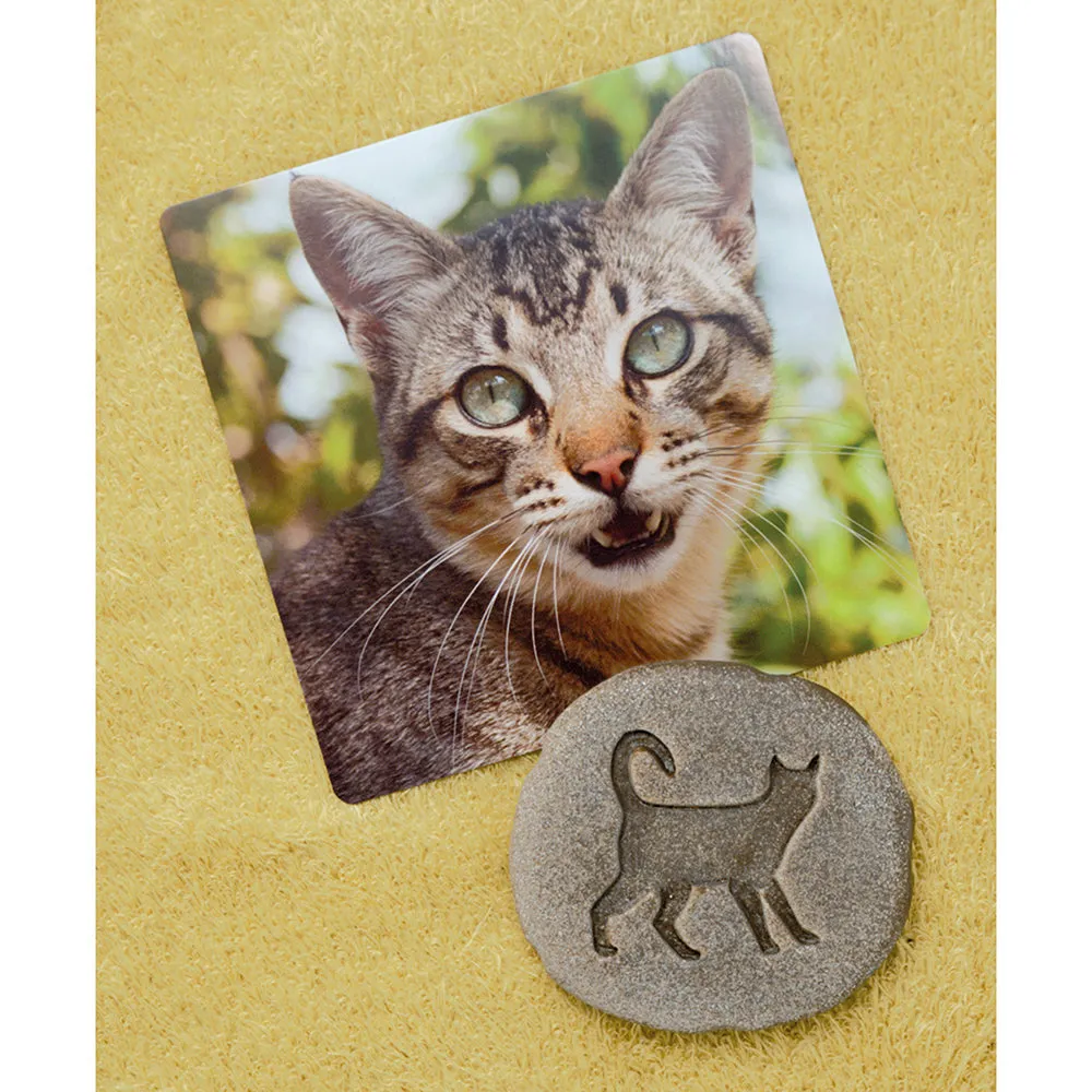 Yellow Door® Let's Investigate Farm Yard Footprints Double-Sided Animal Stones