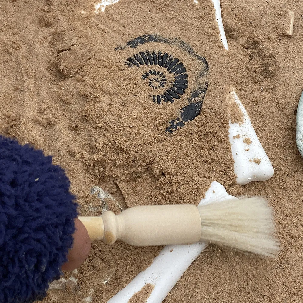 Yellow Door® Let's Investigate Fossils Discovery Kit