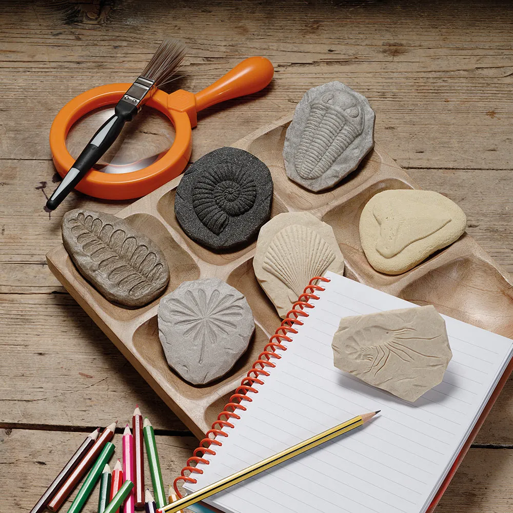 Yellow Door® Let's Investigate Fossils Discovery Kit