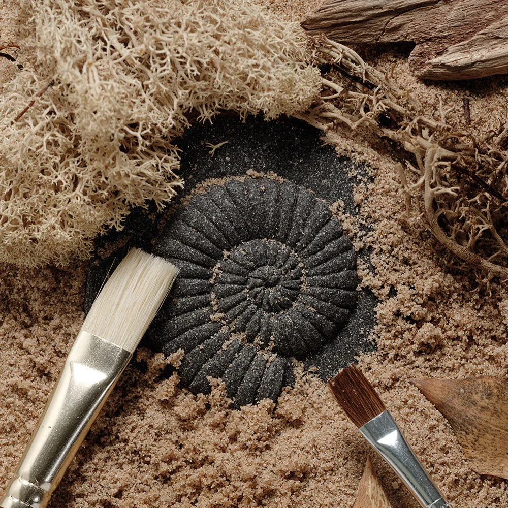 Yellow Door® Let's Investigate Fossils Discovery Kit