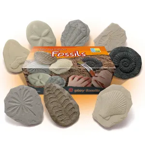 Yellow Door® Let's Investigate Fossils Discovery Kit