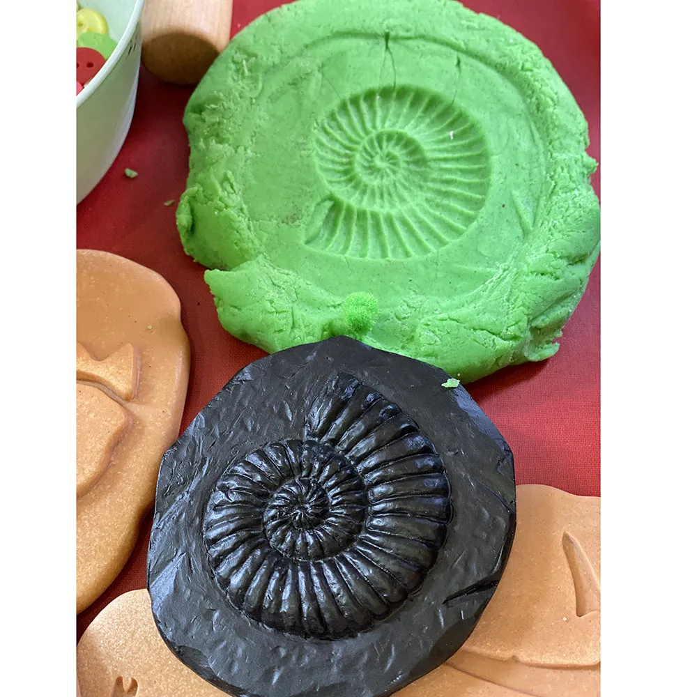 Yellow Door® Let's Investigate Fossils Discovery Kit