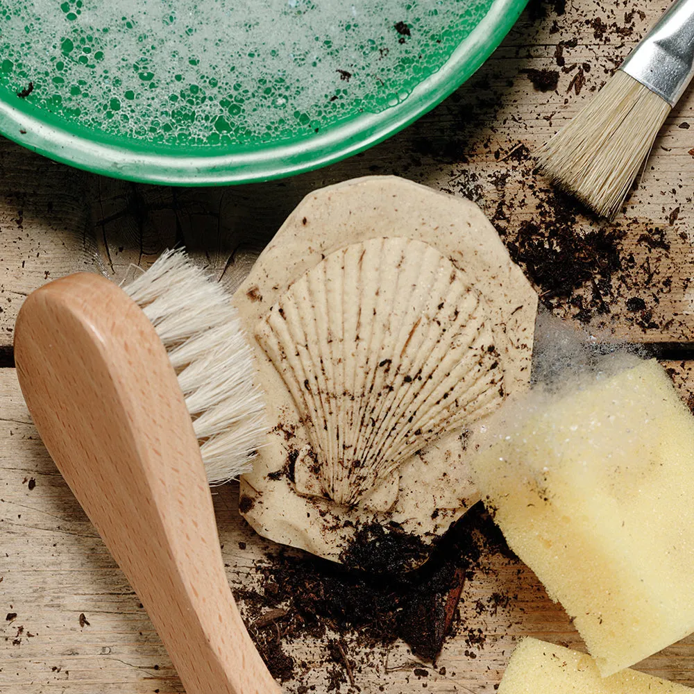 Yellow Door® Let's Investigate Fossils Discovery Kit