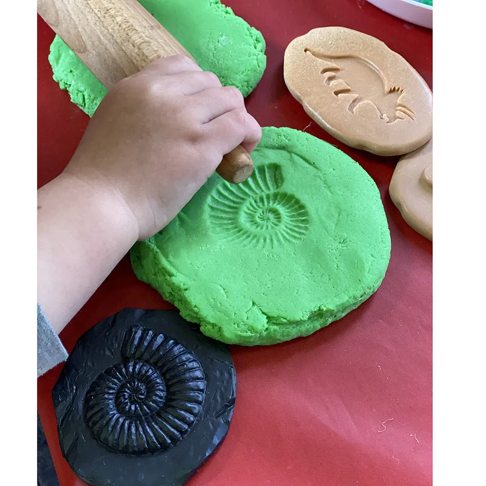 Yellow Door® Let's Investigate Fossils Discovery Kit