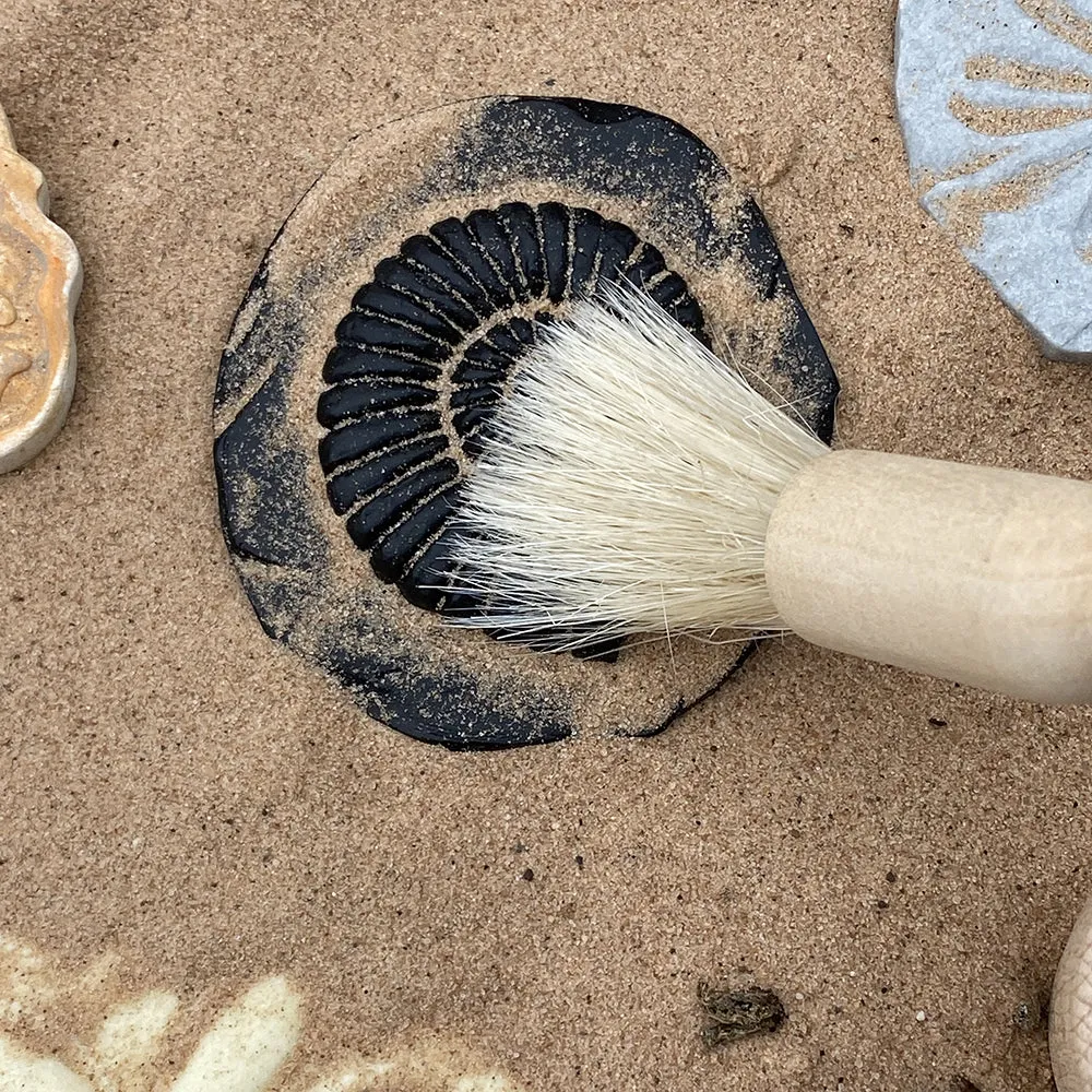 Yellow Door® Let's Investigate Fossils Discovery Kit