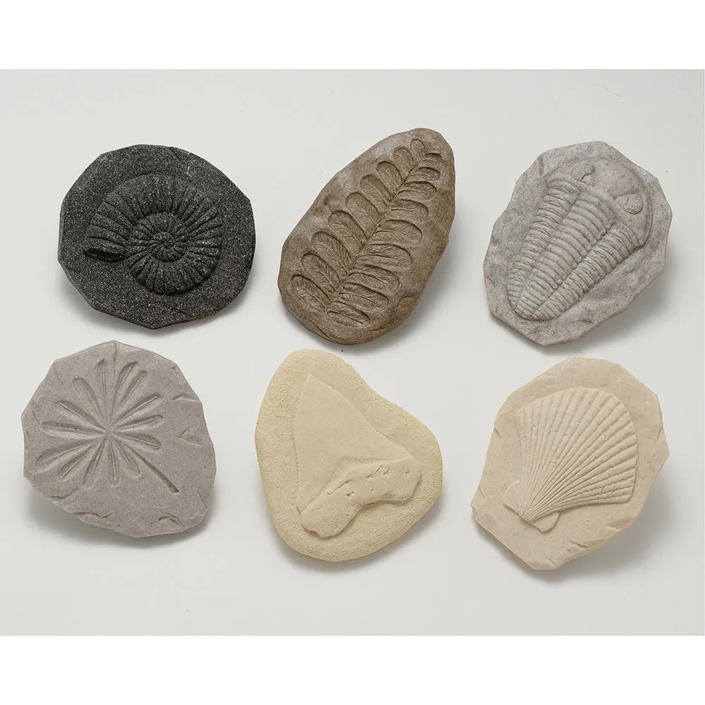 Yellow Door® Let's Investigate Fossils Discovery Kit