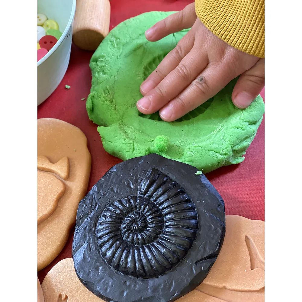 Yellow Door® Let's Investigate Fossils Discovery Kit