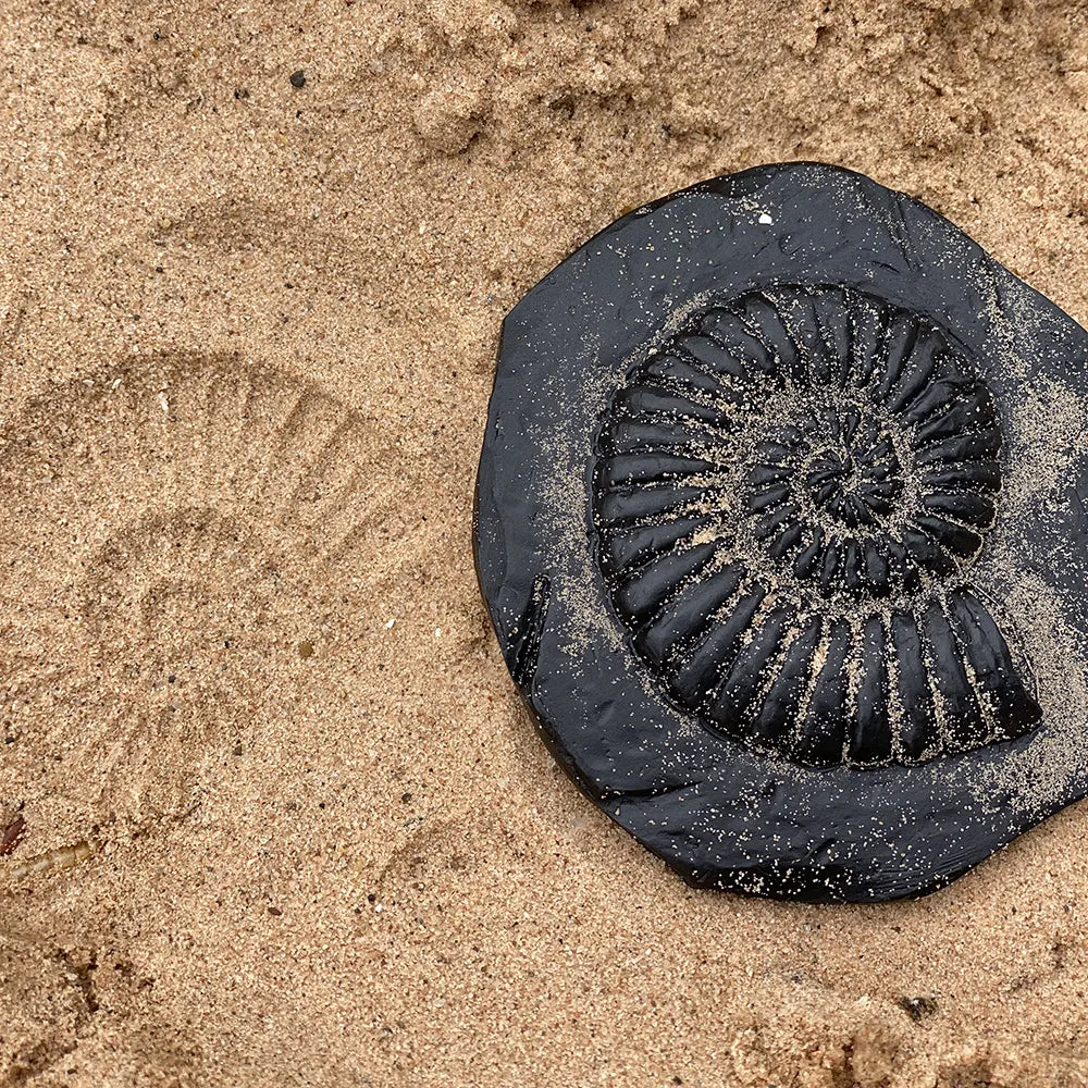 Yellow Door® Let's Investigate Fossils Discovery Kit