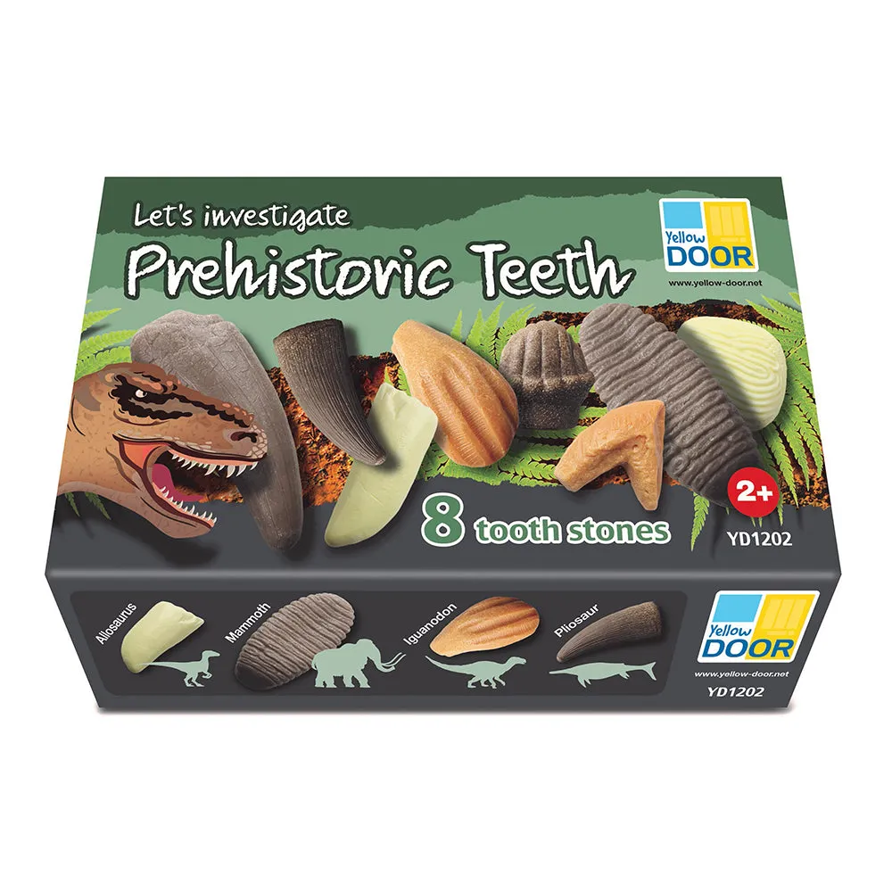 Yellow Door® Let's Investigate - Prehistoric Teeth