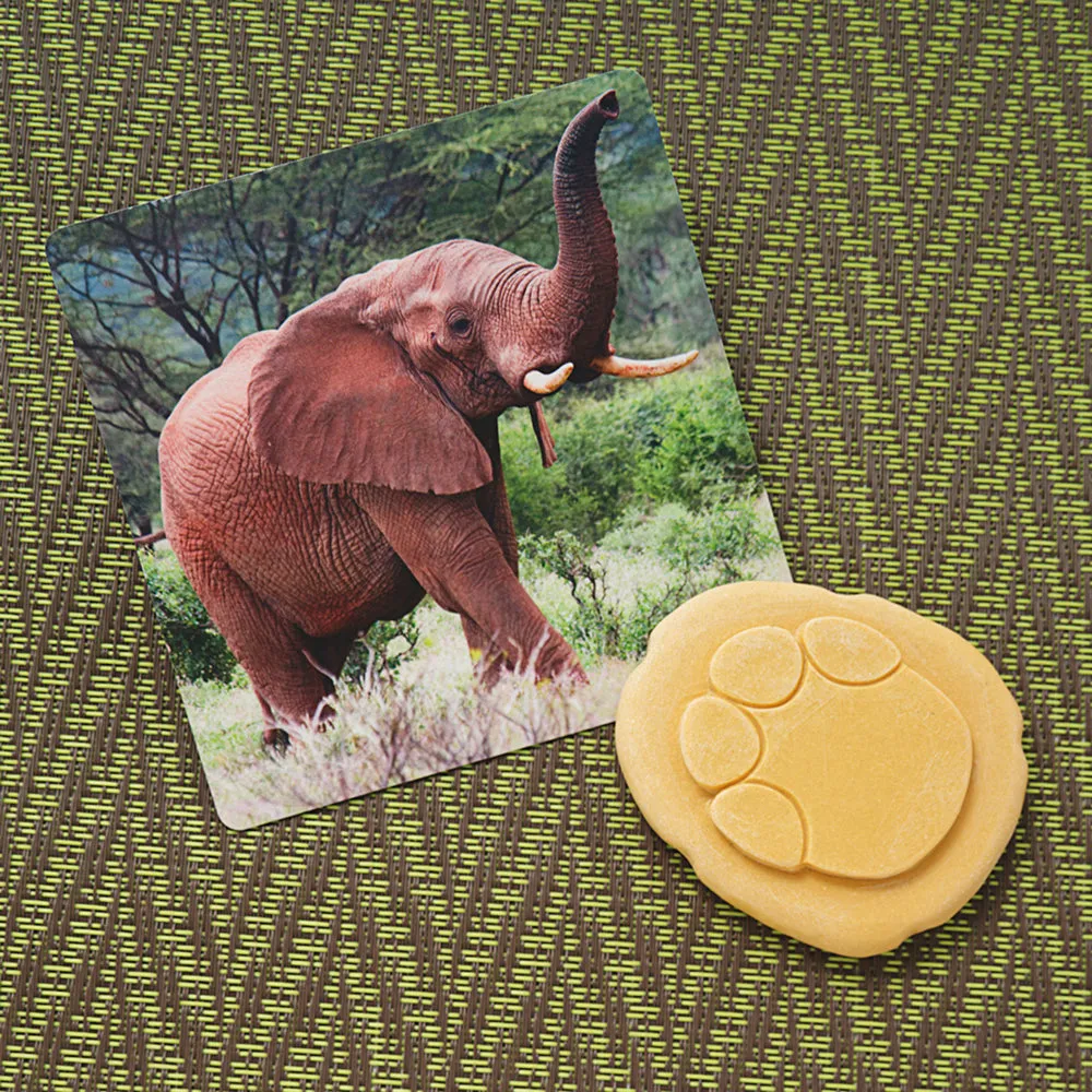 Yellow Door® Let's Investigate Safari Footprints Double-Sided Animal Stones