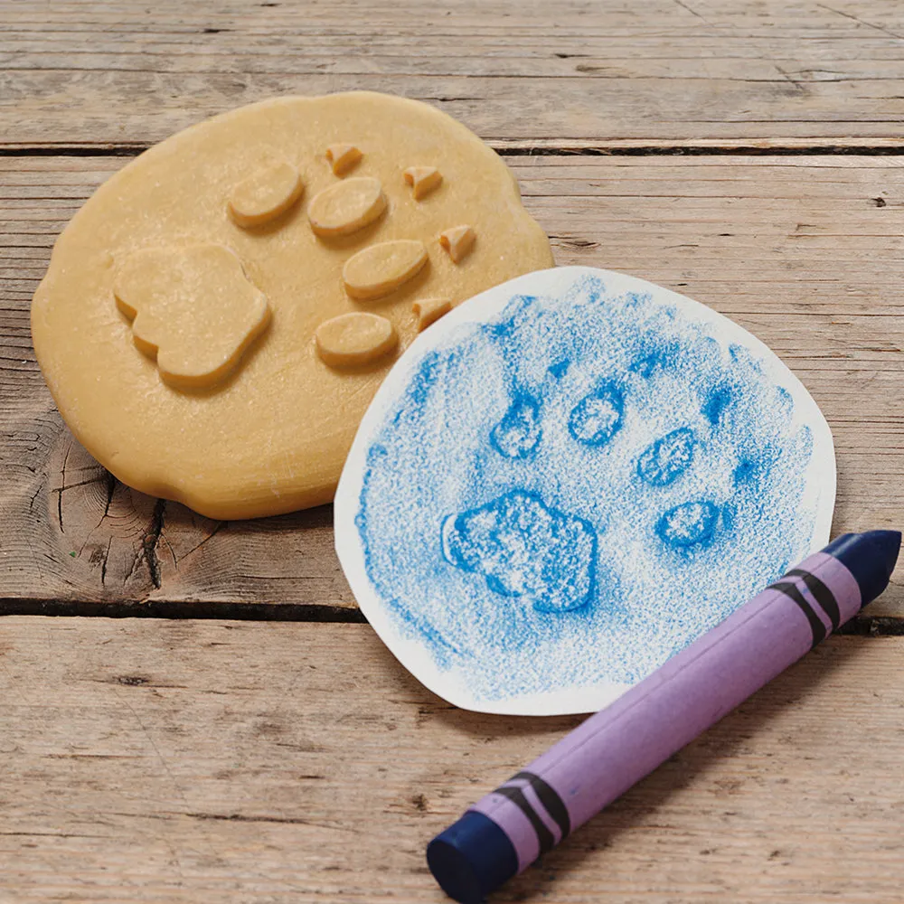 Yellow Door® Let's Investigate Safari Footprints Double-Sided Animal Stones