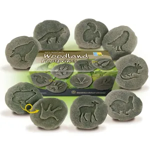 Yellow Door® Let's Investigate Woodland Footprints Double-Sided Animal Stones