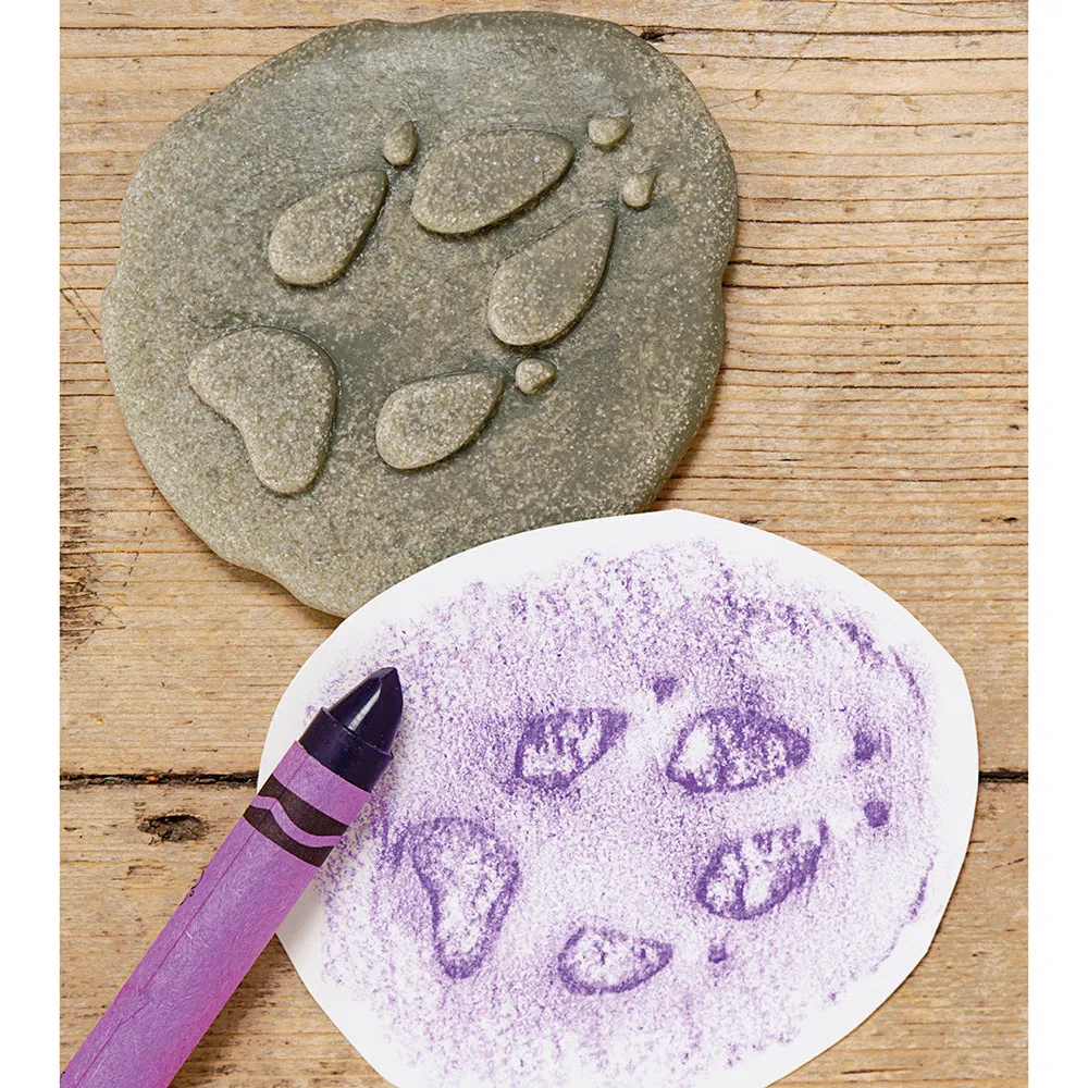 Yellow Door® Let's Investigate Woodland Footprints Double-Sided Animal Stones