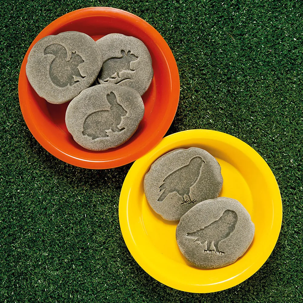 Yellow Door® Let's Investigate Woodland Footprints Double-Sided Animal Stones